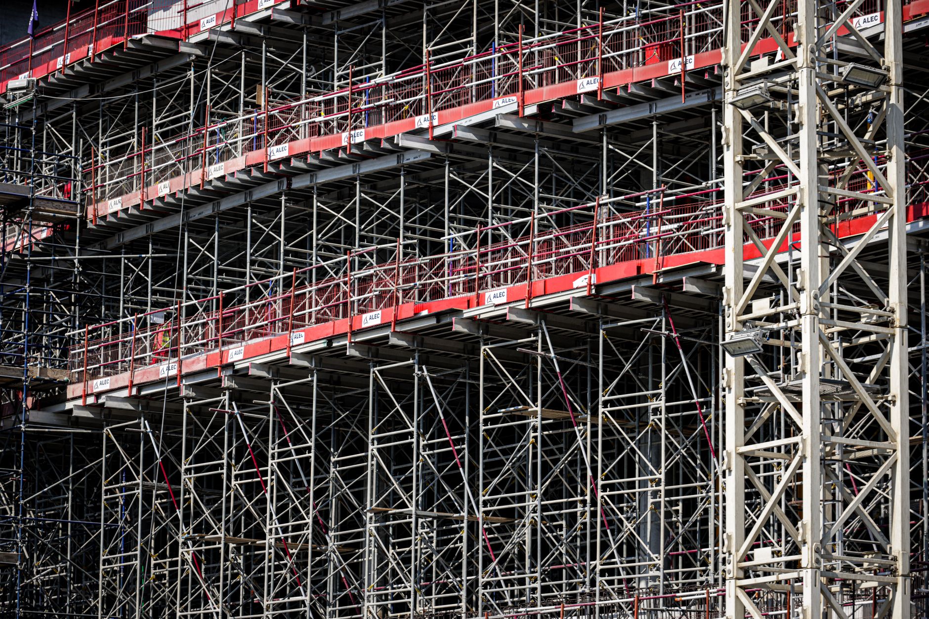 biopolymers scaffolding