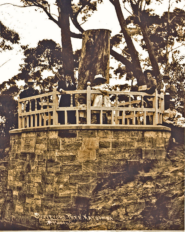 The King's Surveyor